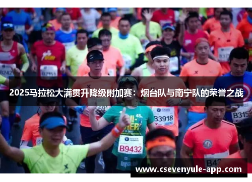 2025马拉松大满贯升降级附加赛：烟台队与南宁队的荣誉之战