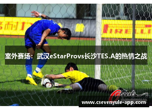室外赛场：武汉eStarProvs长沙TES.A的热情之战